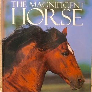 17 x 14 inch MAGNIFICENT HORSE Book.